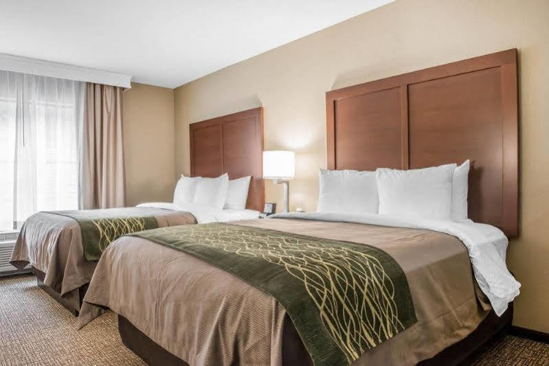 פיטסבורג Comfort Inn & Suites מראה חיצוני תמונה